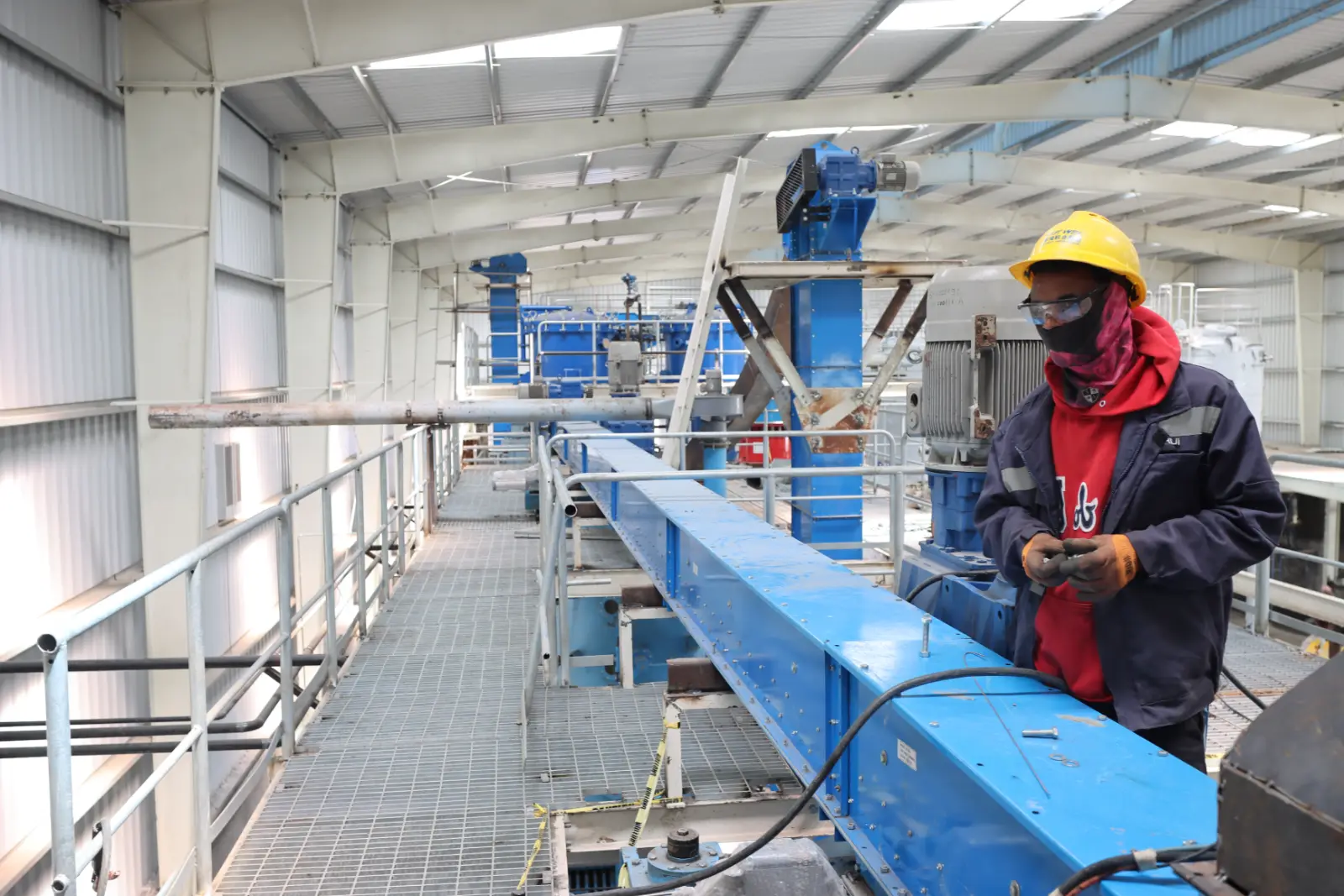 Edible Oil Plant.